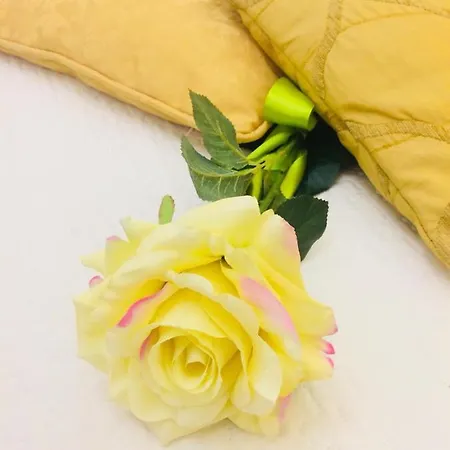 فندق مبيت وإفطار Il Cipresso مونتيريجيوني